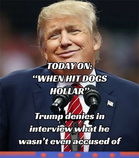 TODAY ON: “WHEN HIT DOGS HOLLAR” — In an interview with CNN’s Norah O’Donnell, Trump denied being a pdf file & a grape ist … things he wasn’t even directly accused of being. I felt a bit of humor was required for this analysis. Let’s discuss (and laugh) …