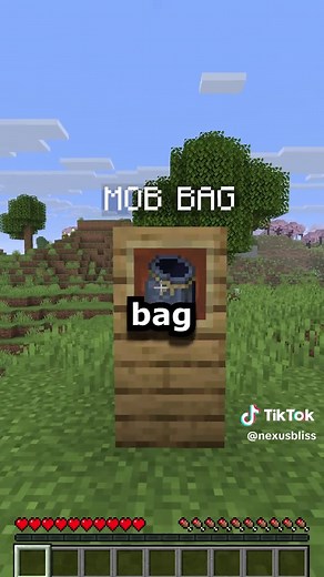 Essential Minecraft Items for Creative Building