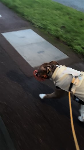 lolaexempt (@lolaexempt)’s videos with Glass Of Desire - Smoke & Sonata