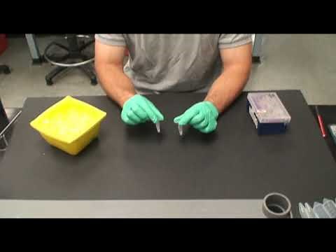 Bacterial Transformation-Creating Transformed Cells (Part 3)