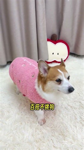 Here comes the super cute back-buttoned vest. It s just perfect to wear during the Spr