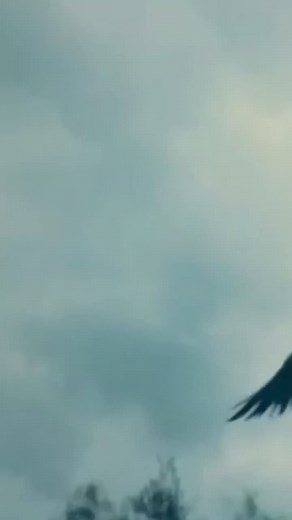 Would you like this to be a story? #foryoupage #lokilaufeyson #loki #foryou #pov #lokipov #avengers #marvel #fyp