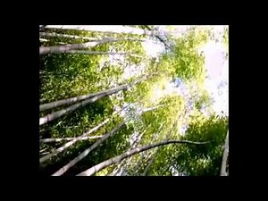 Power Rangers Super Megaforce Season 21 Full Episode 1, 2, 3, 4, 5