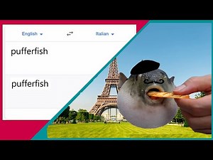 GOOGLE TRANSLATE MEME COMPILATION - TRY NOT TO LAUGH (part 2)