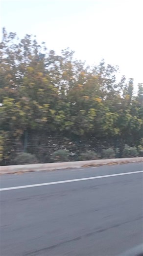 Moniz Melody: A Heartfelt Musical Journey