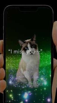 I miss you so much 🐾 From a grieving human to their cat—and from the Rainbow Bridge in return.