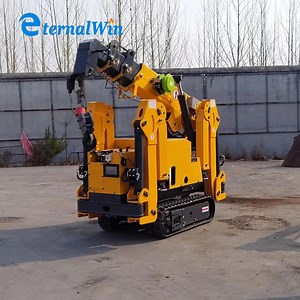 [Hot Item] Compact 1.2ton Mini Crawler Crane Small Spider Crane with CE Certificate