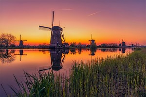 Kantar BrandZ Most Valuable Dutch Brands 2025