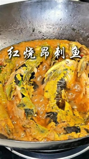 酱香醇厚，鱼肉滑嫩，红烧昂刺鱼地道家常风味，汤汁拌饭都能炫两碗，鲜香过瘾超满足。#家常菜 #下饭菜#红烧昂刺鱼