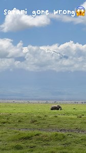 麻雀看世界 Travel with Sparrow🐦 on Instagram: "报了一个非洲safari团 没想到整车只有我一个人 于是今年情人节和我素未谋面的非洲向导John单独一起过 谁的情人节会有我的难忘🌚 大家还是情人节快乐啦🌝🫶🏻 #旅遊 #旅遊 #情人節 #情人节 #非洲 #肯尼亚 #valentines #safari #旅遊日記 #travelmemes #獨旅 #kenya #africa #valentinesday #solotravel"
