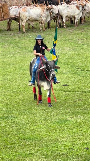 Meire Cecília Garcia Vieira on Instagram: "Encontro de Carreiros no Ponte Clube em Poço Fundo MG"