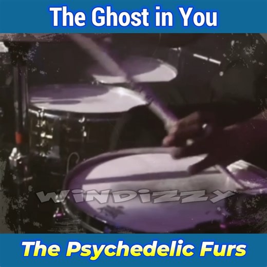 The Psychedelic Furs – The Ghost in You (Live) | Darwin Windizzy Delarmente