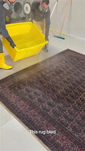 This rug was in a flood. We strip wash the dyes to remove the pink colour damage. Watch until the end to see this Kerman rug restored👀 WARNING⚠️ Dont try this at home! #RugRestoration #Restoration #DyeBleed #BeforeAndAfter #FYP