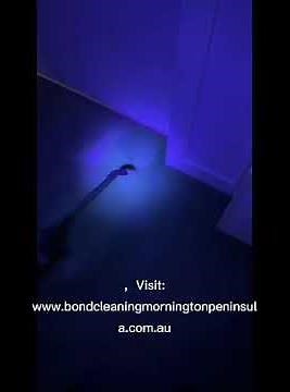 🧼 Pet Urine Stain Removal | Deep Carpet Cleaning & Enzyme Treatment Results