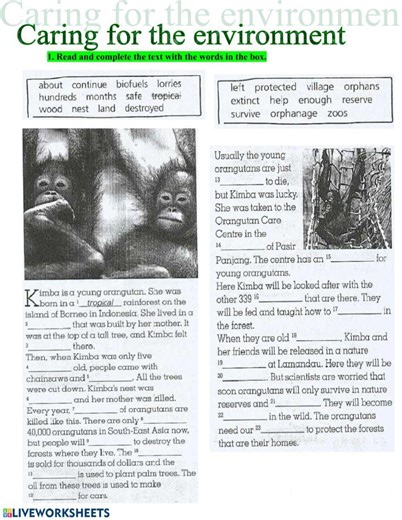 Caring for the environment 2 worksheet