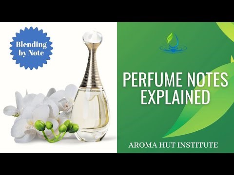 Perfume Notes Explained