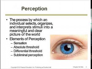 Perception and Consumer Behaviour