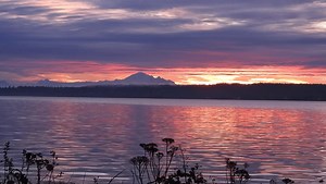 Sunrise on boundary bay Delta BC 🇨🇦✨❤️✨ | Pacificnorthwestkate