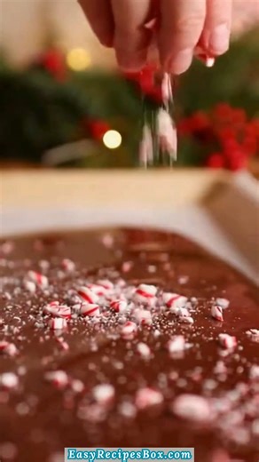 🍫🎄 Candy Cane Chocolate Bark 🎄🍫 I make this candy cane chocolate bark every time I want a festive treat that feels special but takes almost no effort. It’s crisp, chocolatey, and that minty crunch always brings a little holiday magic 😊 Ingredients: - 1 1/2 cups dark chocolate chips - 1 cup white chocolate chips - 3 to 4 candy canes, crushed - 1/4 tsp peppermint extract, optional .... 👇 Full Recipe in Comment 💬 #chocolatebark #candycanedessert #chocolatelovers | Easy Recipes Box