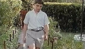 Подборки видео для вас — поиск Яндекса по видео