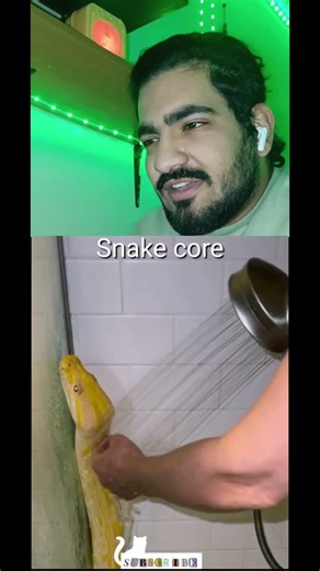 Snake core😅reaction . amazing creatures🤣 #viralvideo #animals #animallife #living_life #cute