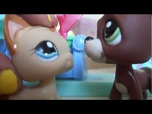 Littlest Pet Shop: Lifetime (Episode #9 "Just Wait") *REMAKE*