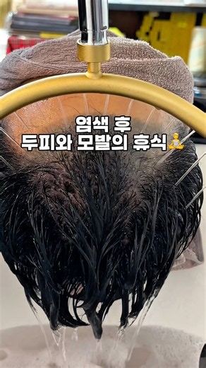 #그루쌤 #블루블랙 #두피케어 #염색 #곡반정동미용실