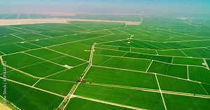 Intensive agriculture in a large farm with a lot of fields. This this an issue for the environment and pollution - aerial view with a drone - Agriculture and Landscape concept 4K