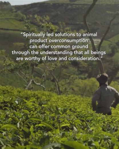 The Fetzer Institute on Reels