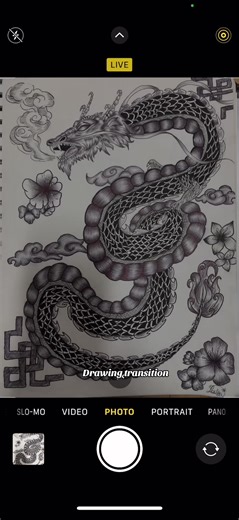 Epic Dragon Drawing Journey Worth the Wait