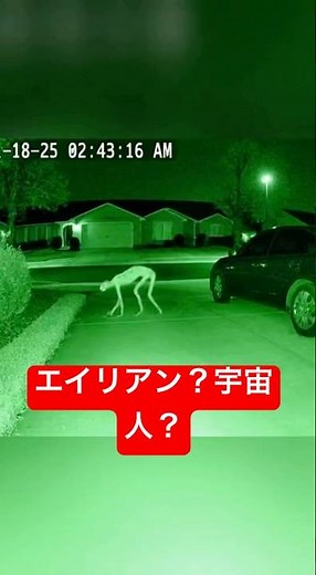 得体の知れない怪物が映り込み。宇宙人？エイリアン？#宇宙人#エイリアン#未確認生物 #ai