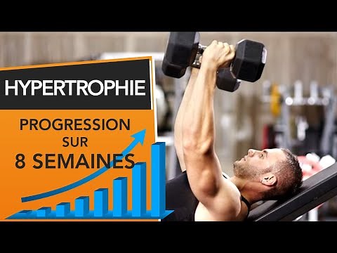 Progresser en musculation - Cycle d'hypertrophie sur 8 semaines