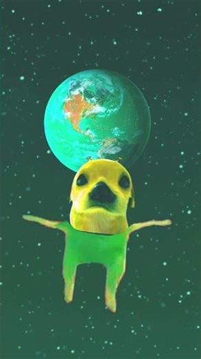 the fight of the alien dog vs cookie (part 1)