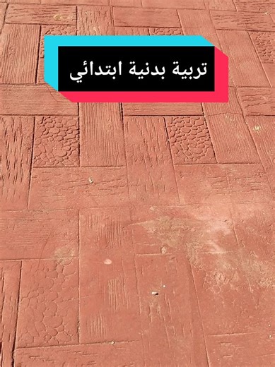 تربية بدنية ابتدائي: الرمي في الرياضة