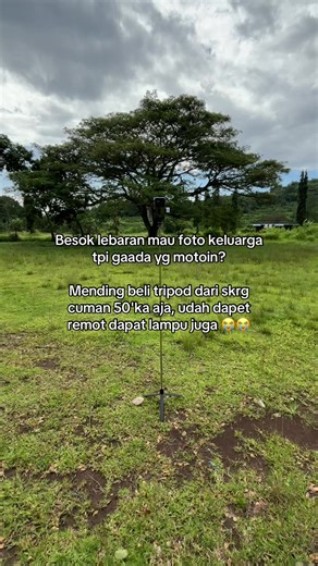 Best Tripod Options for Your Mobile Photography Needs