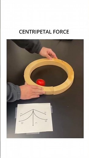 Centripetal Force Explained with Real Life Examples #physics #fact #amazing #shorts
