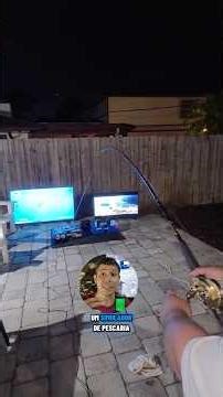Fishing simulator