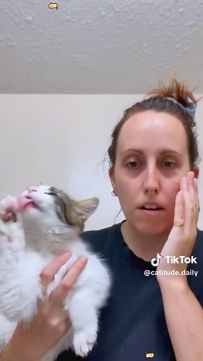 Cats love copying😂#cat #cats #catlover #catsoftiktok #fyp | cat