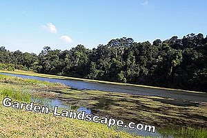 Other: Infiltration well - create sink infiltration | 2025