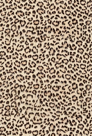 Celebrating Connie's Season: Highlights and Edits