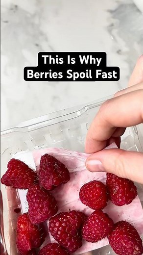How to Store Raspberries So They Don’t Mold Fast #raspberry #foodstorage #shorts