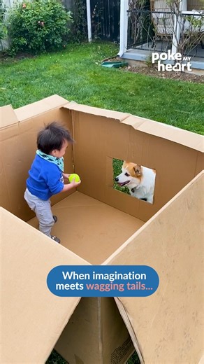 766K views · 10K reactions | Boxed in fun, bursting with joy! #giggles #baby #BFF | Poke My Heart | Facebook