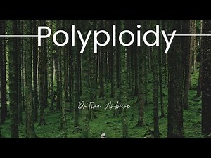 Polyploidy - Autopolyploids, Allopolyploids