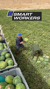 Work smarter, not harder 💡 | People Are Awesome