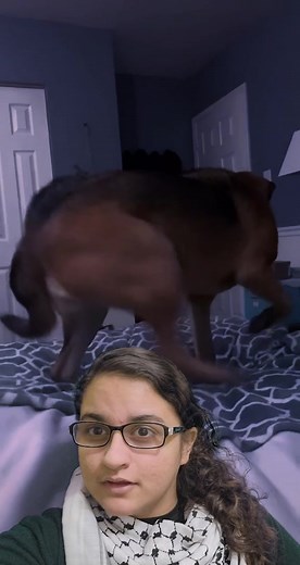 Did Her Dog See a Jinn? #paranormal #scary A Tiktok video posted by @melaynaimmediato0 shows her dog acting very strange. Can animals sense things we cannot? Was there a spirit, ghost, or Jinn present in this video or was it something else? #ArabRambo #Jinn #fyp #youtube #animals #dog #spirits #paranormal #spooky #foryou