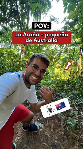 Las arañas de Australia son gigantes 🤯 . Lo habíamos escuchado, habíamos visto vídeos y demas… pero ya os podemos confirmar oficialmente que las arañas en australia son enormes 😰🕷️E #157 | Gemelosviajero