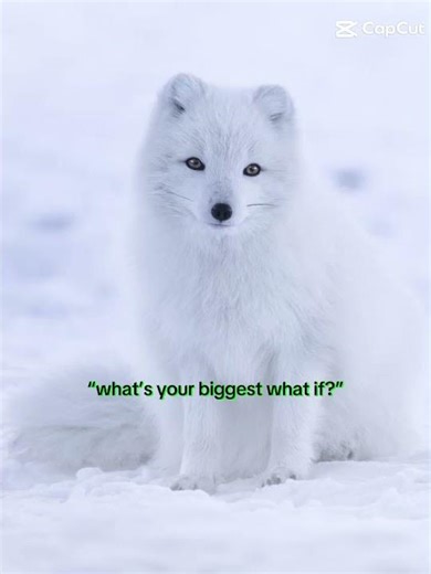 I'm sorry I'm in an angst mood #therian