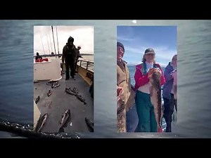 🎣 Westport, WA Fishing Charters | Summer's Here | Salmon, Halibut, Tuna & Bottom Fish!