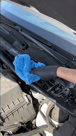 All Purpose Cleaner (APC)