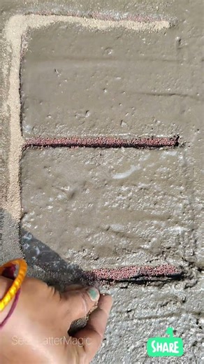 E Letter Name Art with Seeds | Eco Name Art🌱😎